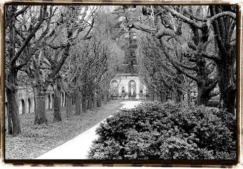 Garden Walk White Modern Wood Framed Art Print with Double Matting by DeNardo, Laura