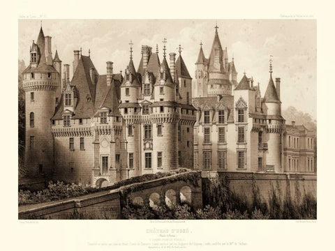 Petite Sepia Chateaux II Black Ornate Wood Framed Art Print with Double Matting by Petit, Victor