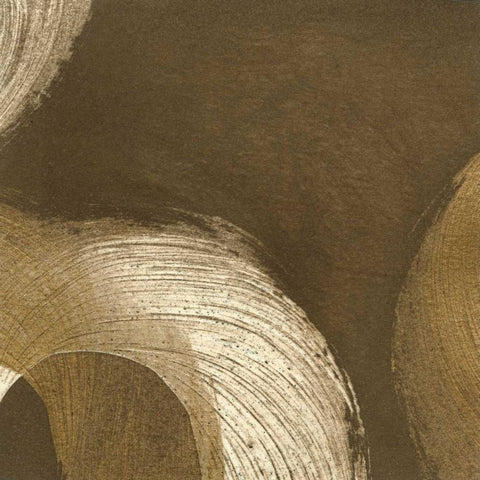 Revolution V Black Ornate Wood Framed Art Print with Double Matting by Meagher, Megan