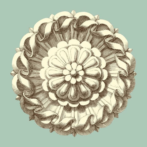 Celadon and Mocha Rosette IV White Modern Wood Framed Art Print with Double Matting by Vision Studio