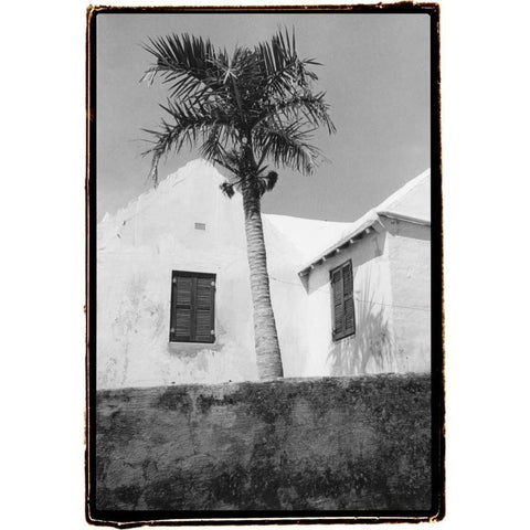 Bermuda Shade Gold Ornate Wood Framed Art Print with Double Matting by DeNardo, Laura