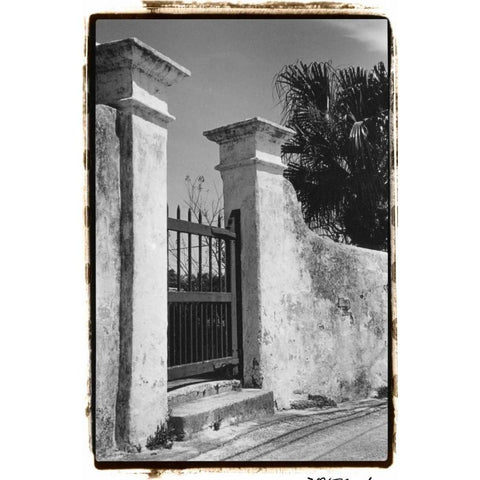 Old Bermuda Gate II Gold Ornate Wood Framed Art Print with Double Matting by DeNardo, Laura
