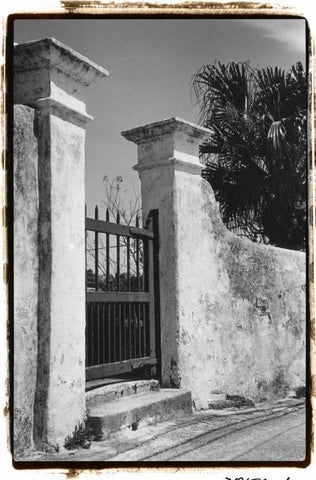 Old Bermuda Gate II Black Ornate Wood Framed Art Print with Double Matting by DeNardo, Laura