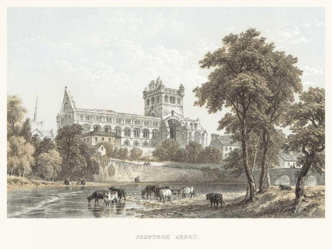 Jedburgh Abbey White Modern Wood Framed Art Print with Double Matting by Unknown