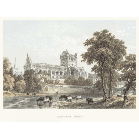 Jedburgh Abbey Black Modern Wood Framed Art Print with Double Matting by Unknown