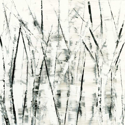 Birches II Black Modern Wood Framed Art Print by Gordon, Sharon