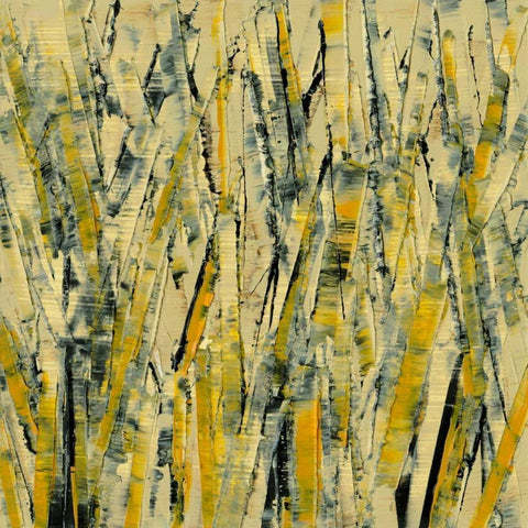 Birches III Black Modern Wood Framed Art Print with Double Matting by Gordon, Sharon