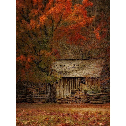 The Mill Black Modern Wood Framed Art Print by Head, Danny