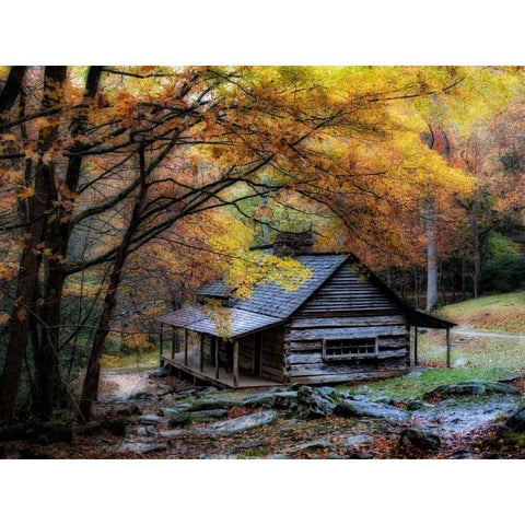 Damp Autumn Day White Modern Wood Framed Art Print by Head, Danny