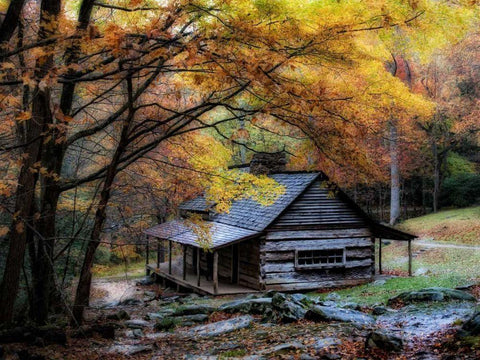 Damp Autumn Day Black Ornate Wood Framed Art Print with Double Matting by Head, Danny