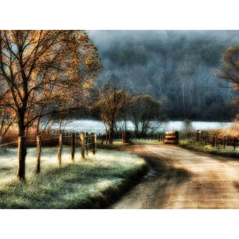 Morning Frost Black Modern Wood Framed Art Print by Head, Danny