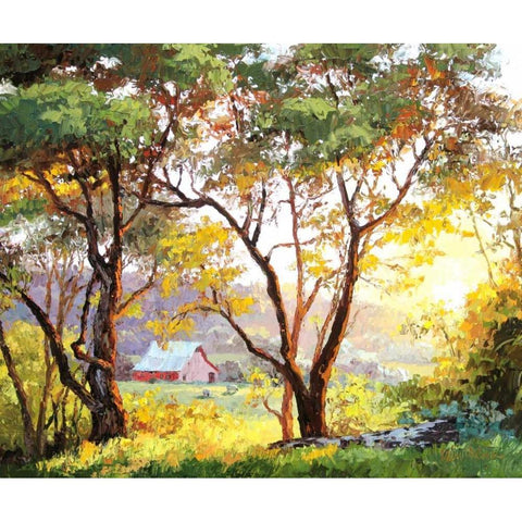 Burnished Landscape Black Modern Wood Framed Art Print with Double Matting by Dertner, Erin
