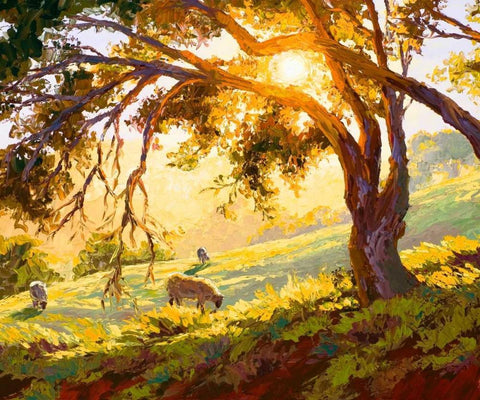 Restful Radiance White Modern Wood Framed Art Print with Double Matting by Dertner, Erin