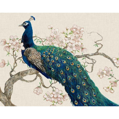 Peacock and Blossoms II White Modern Wood Framed Art Print by OToole, Tim
