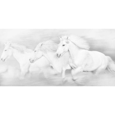 All the White Horses White Modern Wood Framed Art Print by PHBurchett