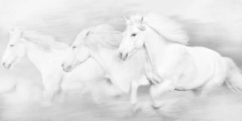 All the White Horses Black Ornate Wood Framed Art Print with Double Matting by PHBurchett