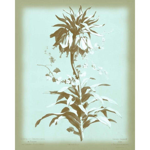 Dussurgey Imperiale on Blue White Modern Wood Framed Art Print by Dussurgey, Chabal