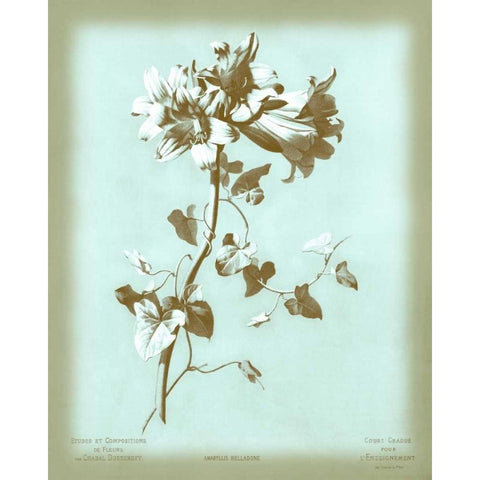 Dussurgey Amaryllis on Blue White Modern Wood Framed Art Print by Dussurgey, Chabal