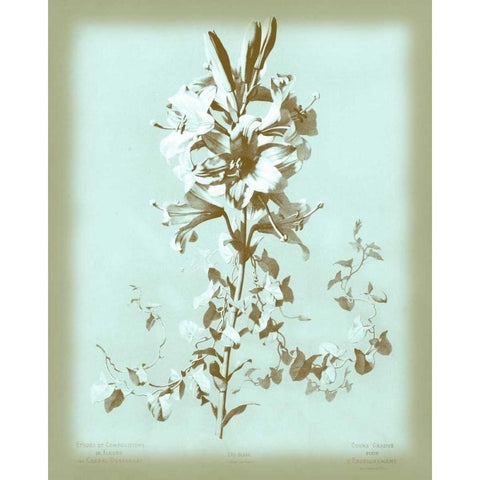Dussurgey Lilium on Blue White Modern Wood Framed Art Print by Dussurgey, Chabal