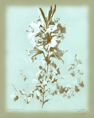 Dussurgey Lilium on Blue Black Ornate Wood Framed Art Print with Double Matting by Dussurgey, Chabal