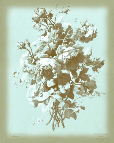 Dussurgey Roses on Blue White Modern Wood Framed Art Print with Double Matting by Dussurgey, Chabal