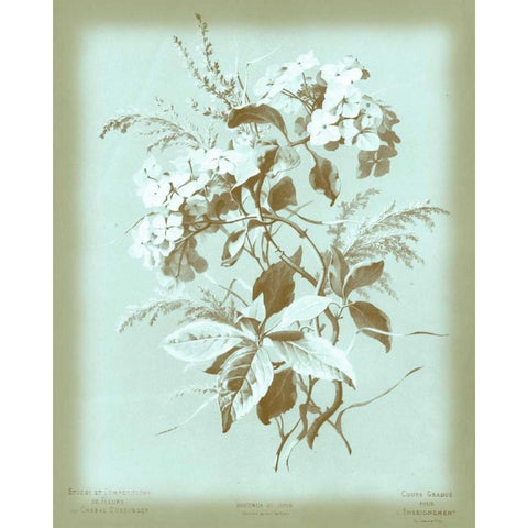 Dussurgey Hydrangea on Blue Gold Ornate Wood Framed Art Print with Double Matting by Dussurgey, Chabal