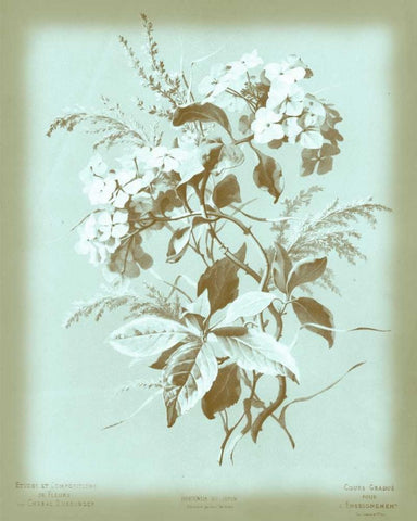 Dussurgey Hydrangea on Blue Black Ornate Wood Framed Art Print with Double Matting by Dussurgey, Chabal