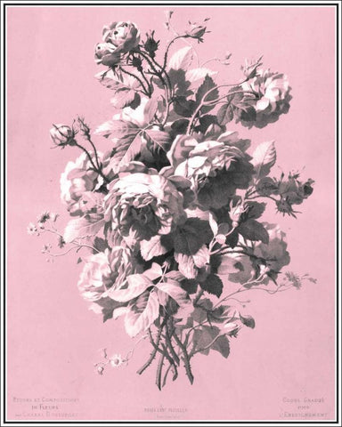 Dussurgey Roses on Pink White Modern Wood Framed Art Print with Double Matting by Dussurgey, Chabal