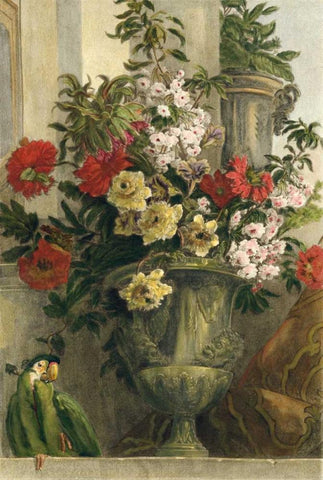 From the Garden White Modern Wood Framed Art Print with Double Matting by Vision Studio