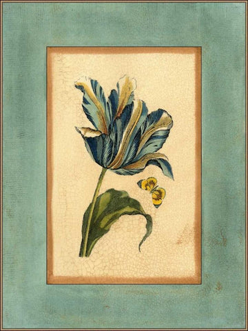 Crackled Spa Blue Tulip II Black Ornate Wood Framed Art Print with Double Matting by Vision Studio