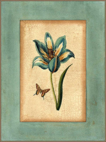 Crackled Spa Blue Tulip III White Modern Wood Framed Art Print with Double Matting by Vision Studio