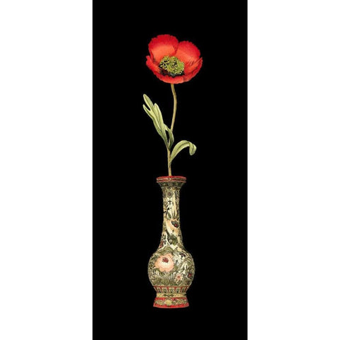 Poppy Magic I White Modern Wood Framed Art Print by Vision Studio