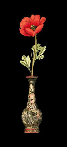 Poppy Magic II Black Ornate Wood Framed Art Print with Double Matting by Vision Studio