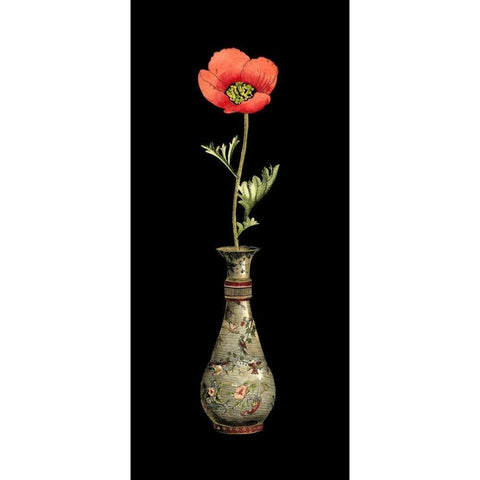 Poppy Magic III White Modern Wood Framed Art Print by Vision Studio