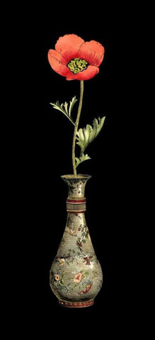 Poppy Magic III White Modern Wood Framed Art Print with Double Matting by Vision Studio