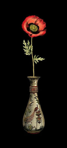 Poppy Magic IV Black Ornate Wood Framed Art Print with Double Matting by Vision Studio