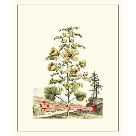 Grandiose View II White Modern Wood Framed Art Print by Munting, Abraham