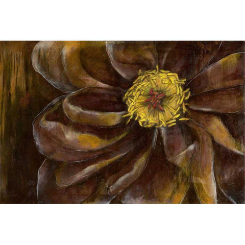 Floral Illusion II Gold Ornate Wood Framed Art Print with Double Matting by Goldberger, Jennifer