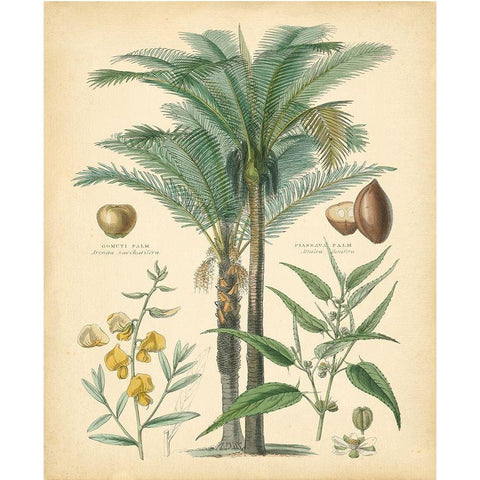 Fruitful Palm I Gold Ornate Wood Framed Art Print with Double Matting by Vision Studio