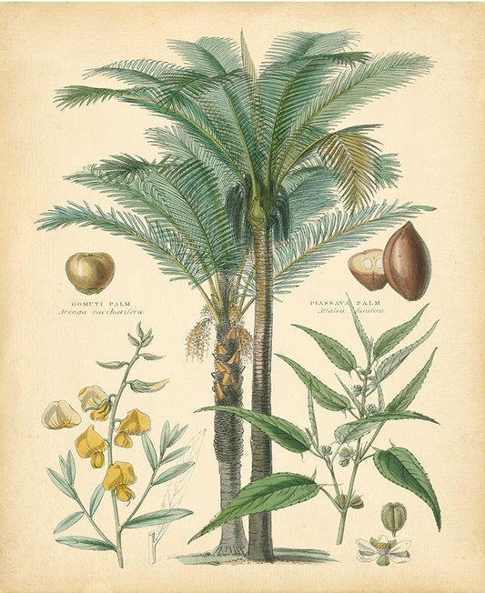 Image Only