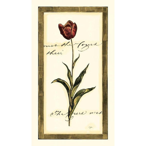 Jens Tulip I Black Modern Wood Framed Art Print by Vision Studio