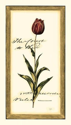 Jens Tulip II Black Ornate Wood Framed Art Print with Double Matting by Vision Studio