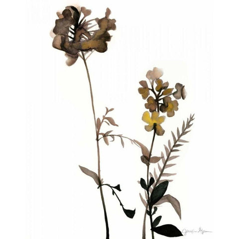 Watermark Wildflowers V Black Modern Wood Framed Art Print with Double Matting by Goldberger, Jennifer