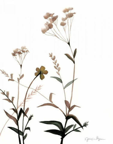Watermark Wildflowers VII White Modern Wood Framed Art Print with Double Matting by Goldberger, Jennifer