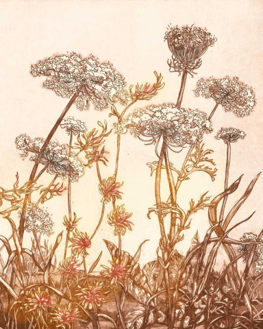 Field of Lace I White Modern Wood Framed Art Print with Double Matting by Dauman, B.
