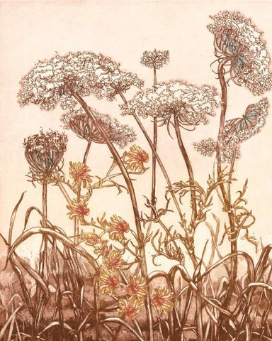 Field of Lace II White Modern Wood Framed Art Print with Double Matting by Dauman, B.