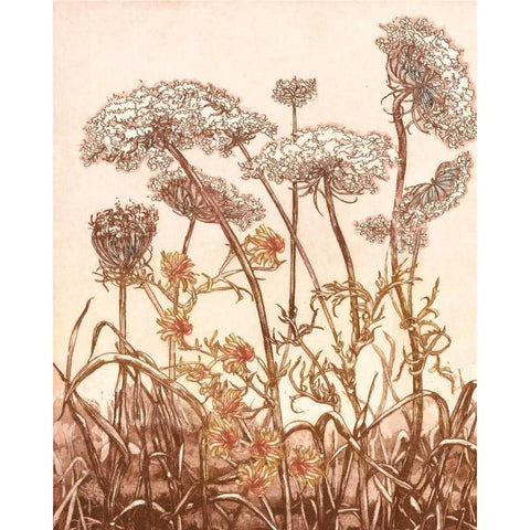 Field of Lace II White Modern Wood Framed Art Print by Dauman, B.