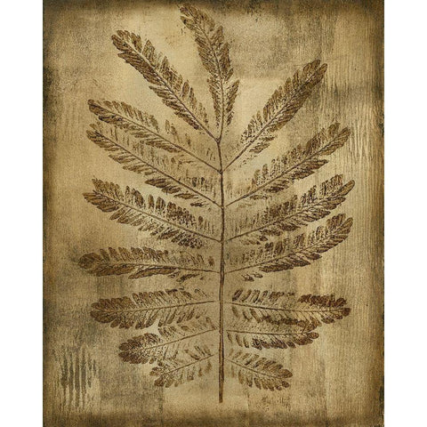 Sepia Drenched Fern I Black Modern Wood Framed Art Print by Slocum, Nancy