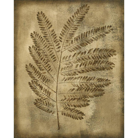 Sepia Drenched Fern II White Modern Wood Framed Art Print by Slocum, Nancy