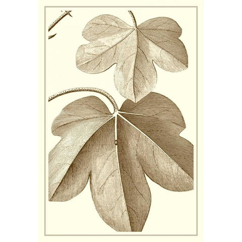 Cropped Sepia Botanical III Gold Ornate Wood Framed Art Print with Double Matting by Vision Studio